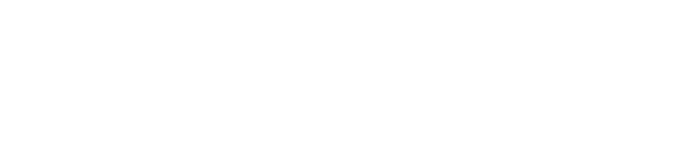 João Branquinho Real Estate Agent